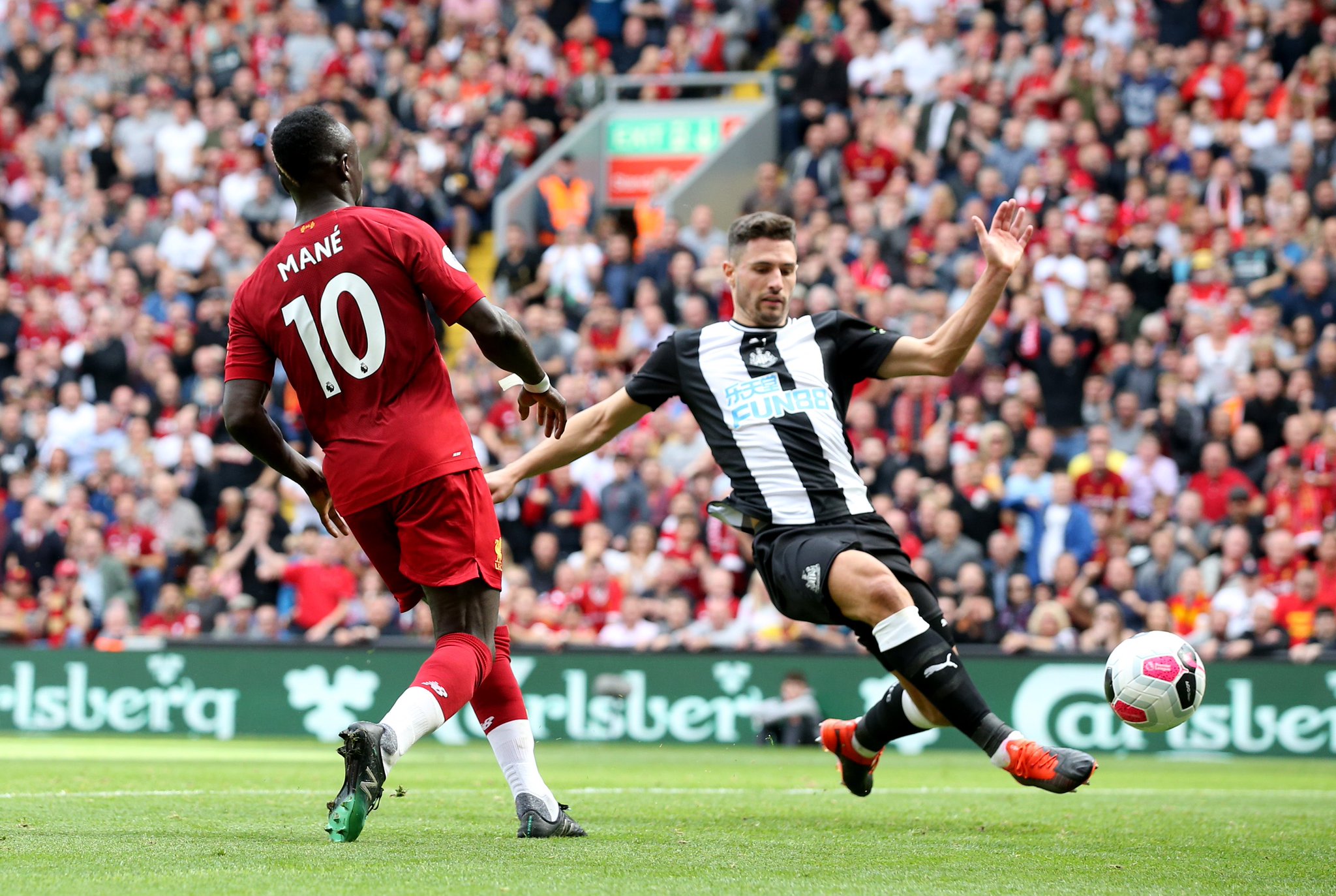 马马尔达什 马马尔达什