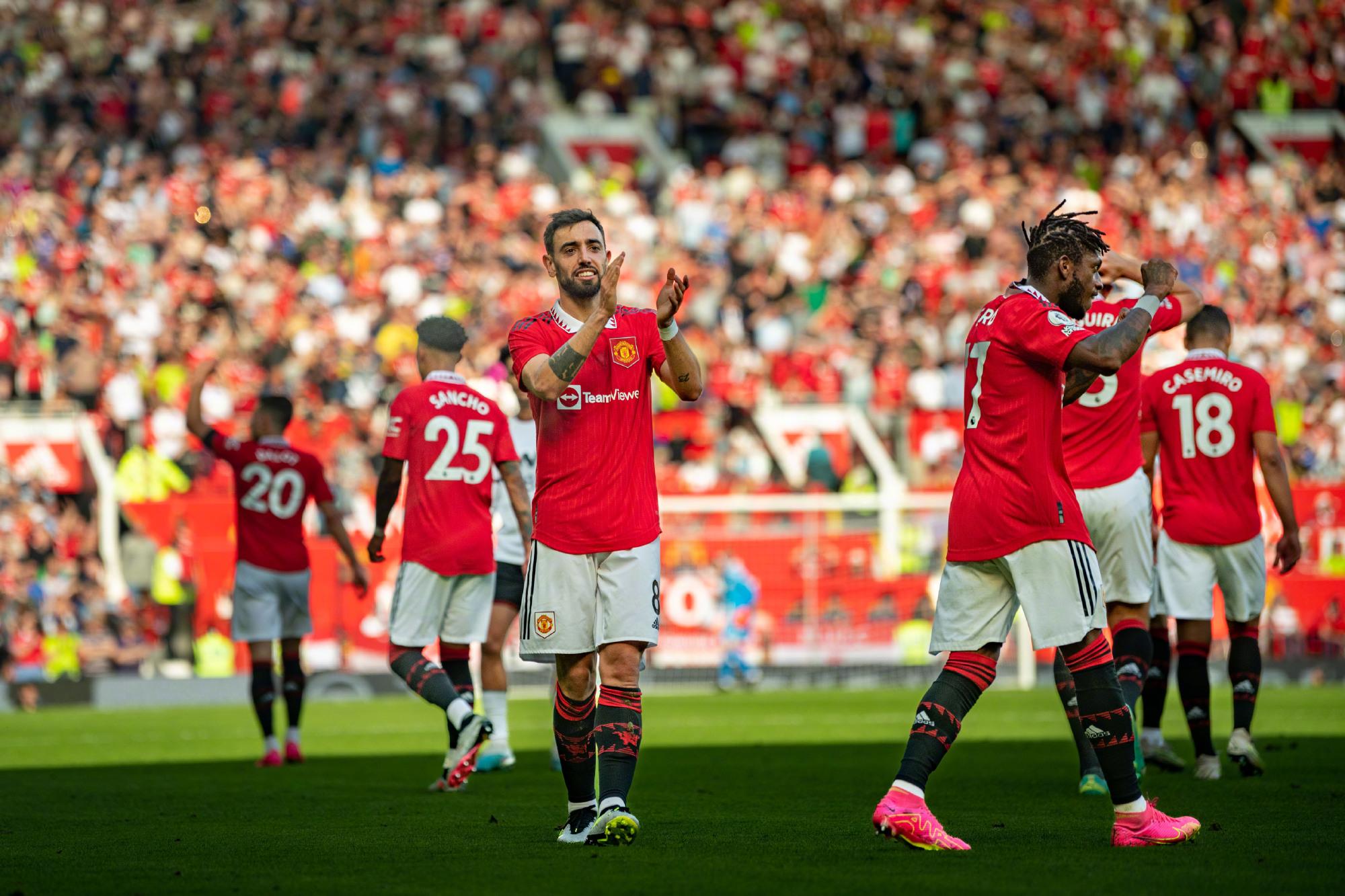 引入明星球 引入明星球